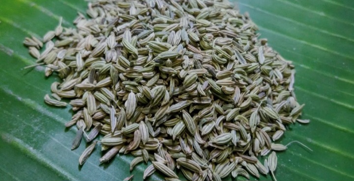 تصویر 1 از رازیانه مرغوب آذربایجان خرید