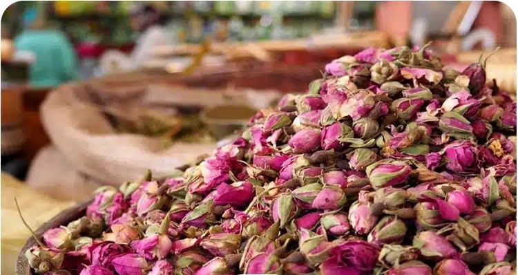 فروش  غنچه و پر گل محمدی