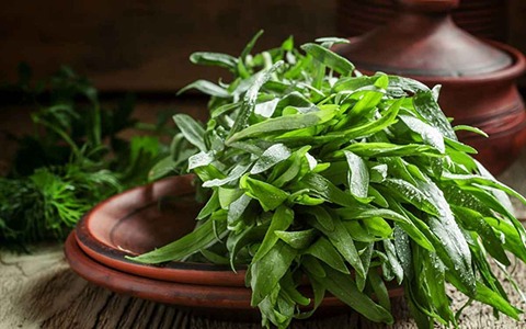 تصویر 1 از قیمت خرید سبزی ترخون خشک + فروش ویژه