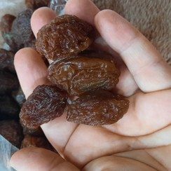 تصویر 4 از فروش آلو خوانسار گوشتی درجه یک