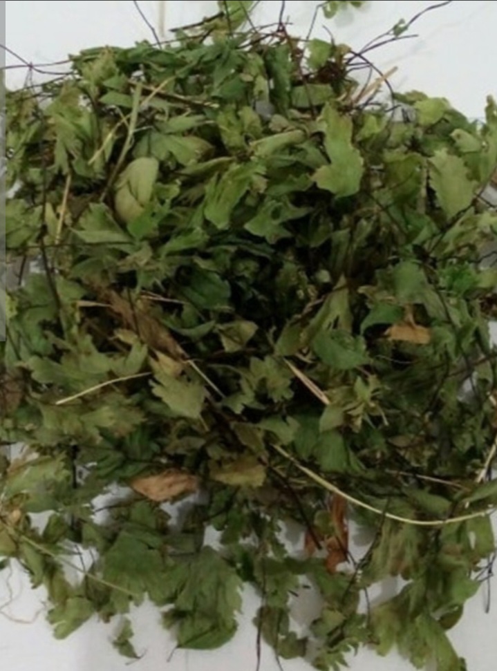 تصویر 2 از خرید پرسیاوشان اعلاء صادراتی