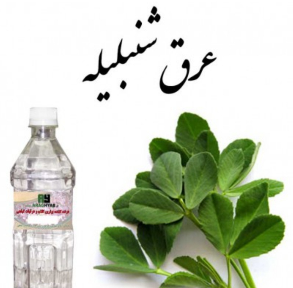 تصویر 5 از قیمت فروش استثنایی عرق شنبلیله + خرید ارزان