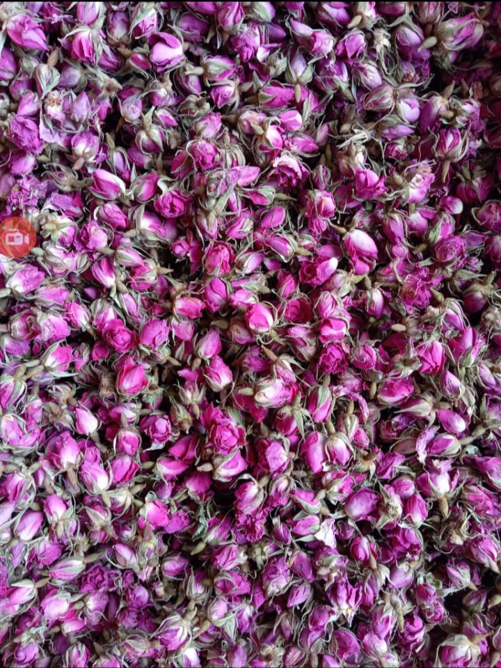 فروش عمده غنچه گل محمدی تبریز + قیمت مناسب