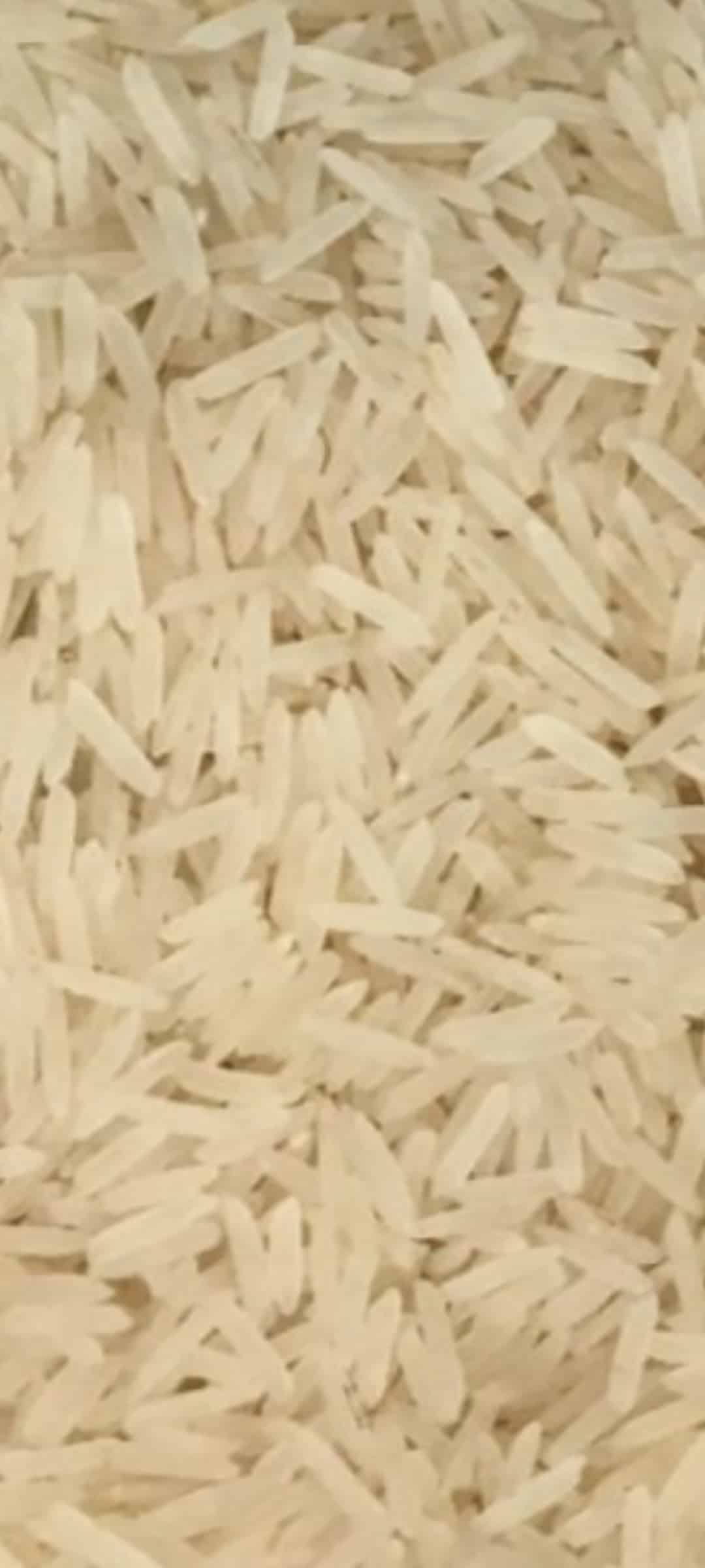 تصویر 2 از برنج هندی ۱۱۲۱ دانه خیلی بلند احمد صادق