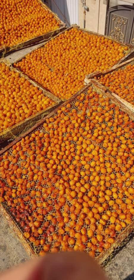 فروش آلو بخارا خشک فله