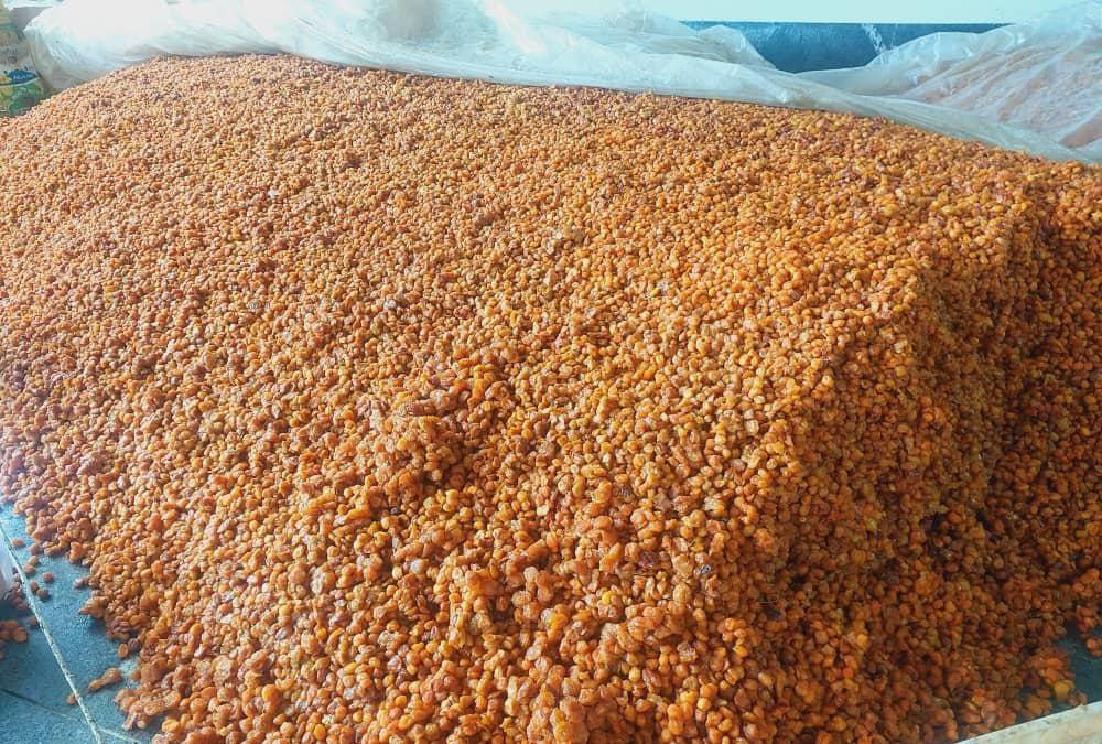تصویر 1 از فروش آلو بخارا خشک فله