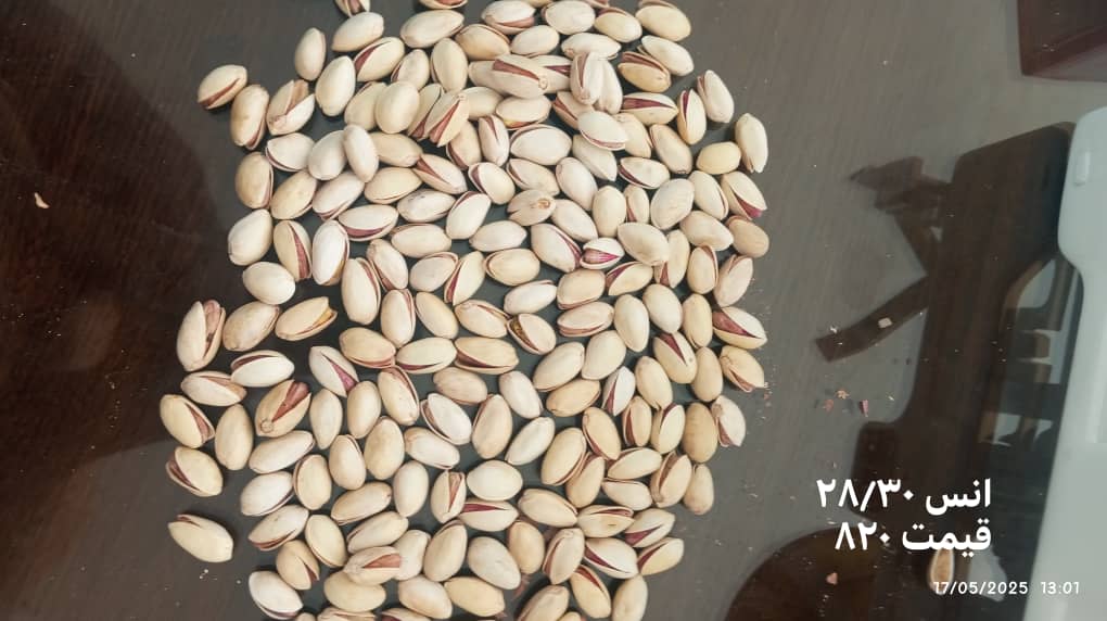 پسته شور اعلا با نمک طبیعی مصرف روزانه