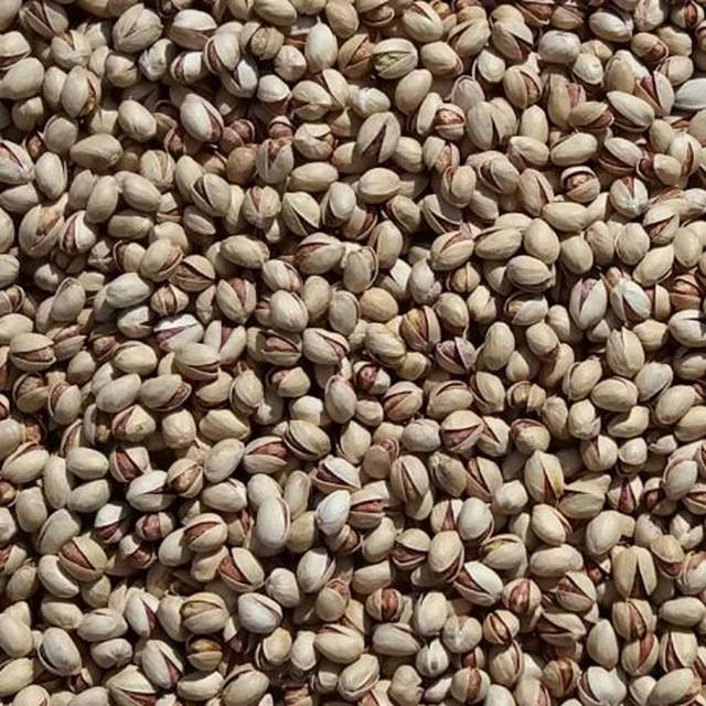 تصویر 3 از فروش ویژه پسته کله قوچی درجه ۱