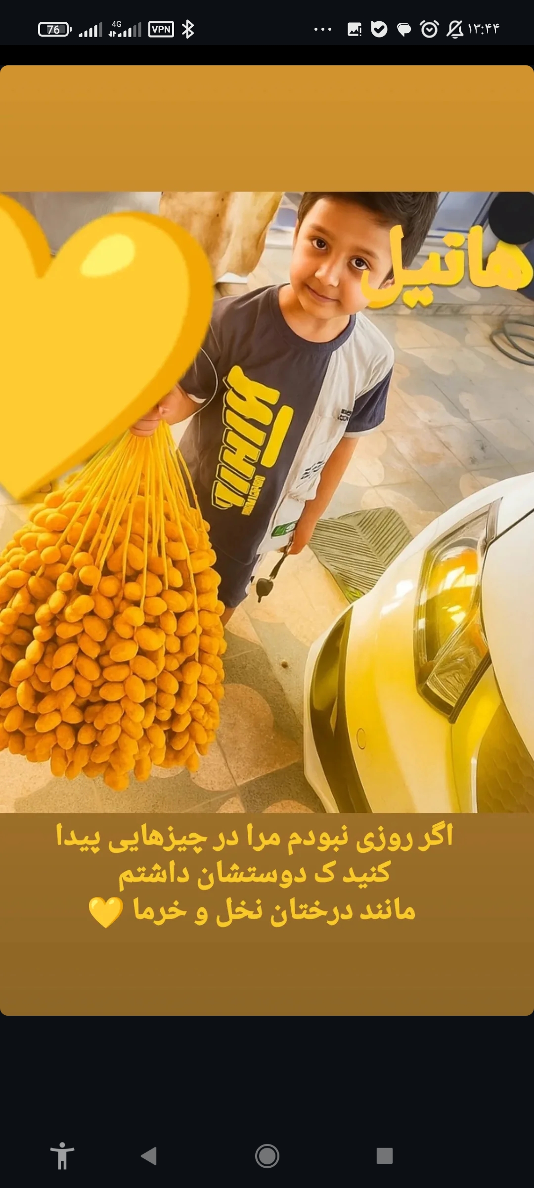 تصویر 4 از فروش عمده خارک برحی
