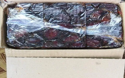تصویر 1 از خرما کبکاب صادراتی درجه یک سانا