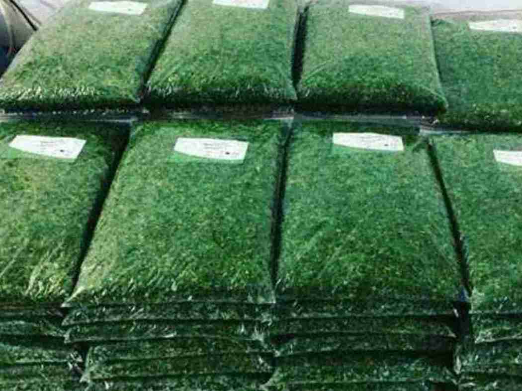 تصویر 5 از سبزی خورد شده تازه