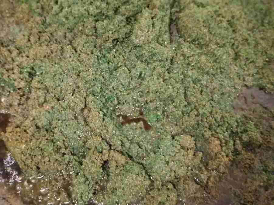 تصویر 5 از سبزی قورمه سرخ شده معطر