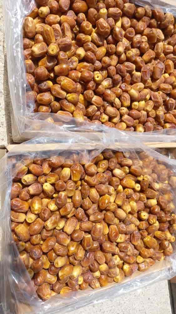 تصویر 2 از فروش و قیمت عمده خرما زاهدی درجه یک