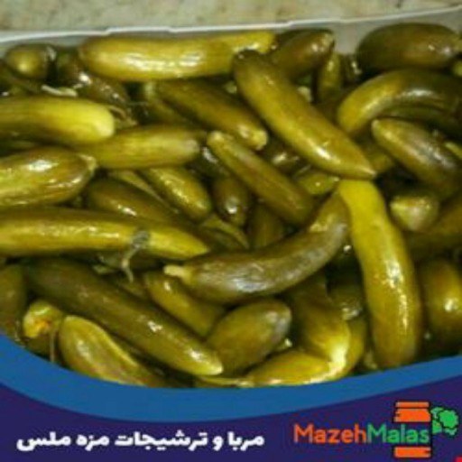 تصویر 3 از خیارشور اعلا قیمت