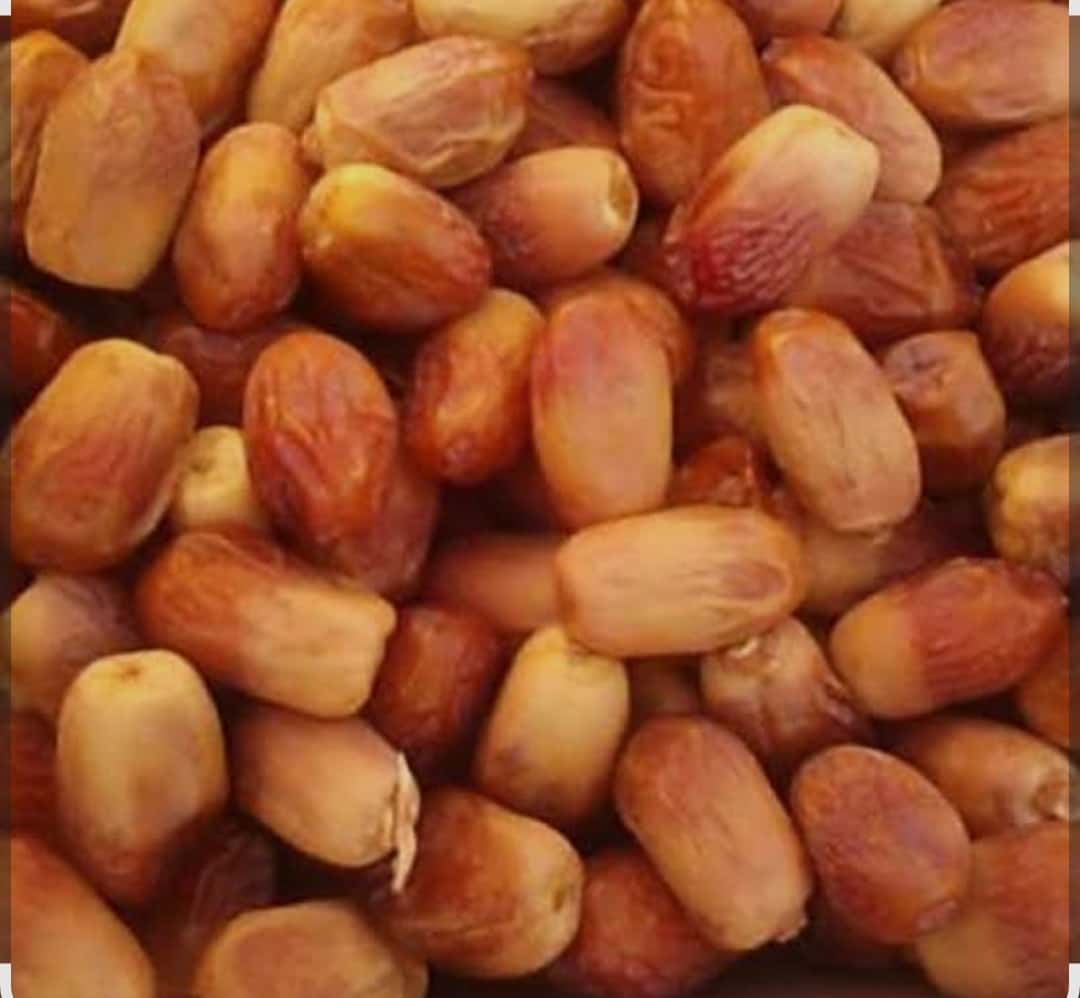 فروش خرما شهداد