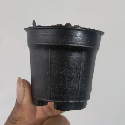 تصویر 5 از قیمت گلدان پلاستیکی مشکی سطل ۷ + خرید بدون واسطه