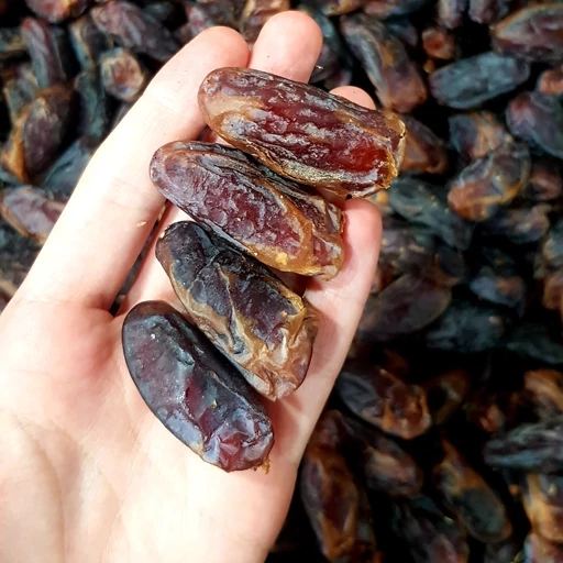 تصویر 1 از خرید خرما شهابی بوشهر + قیمت فروش به صرفه و اقتصادی