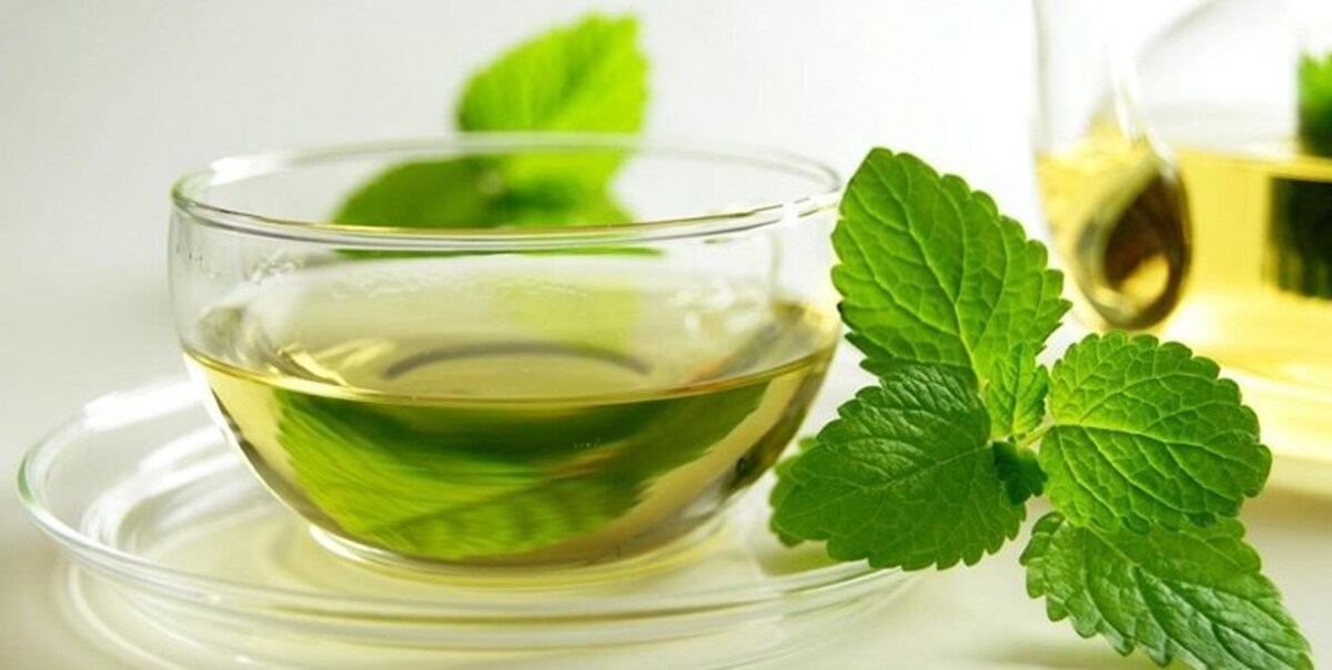 تصویر 3 از خریدوفروش بهترین عرق نعنای زرین عمده صادراتی