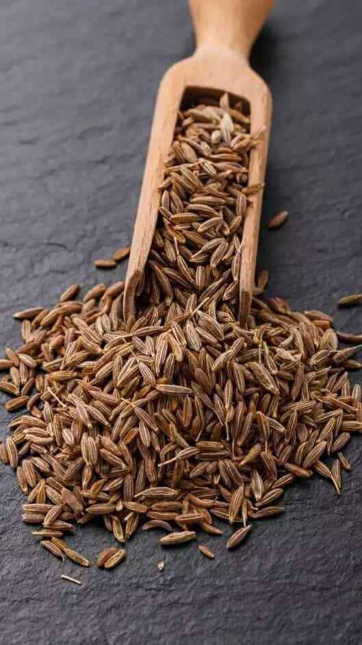 تصویر 3 از فروش ویژه زیره ایرانی با کیفیت صادراتی