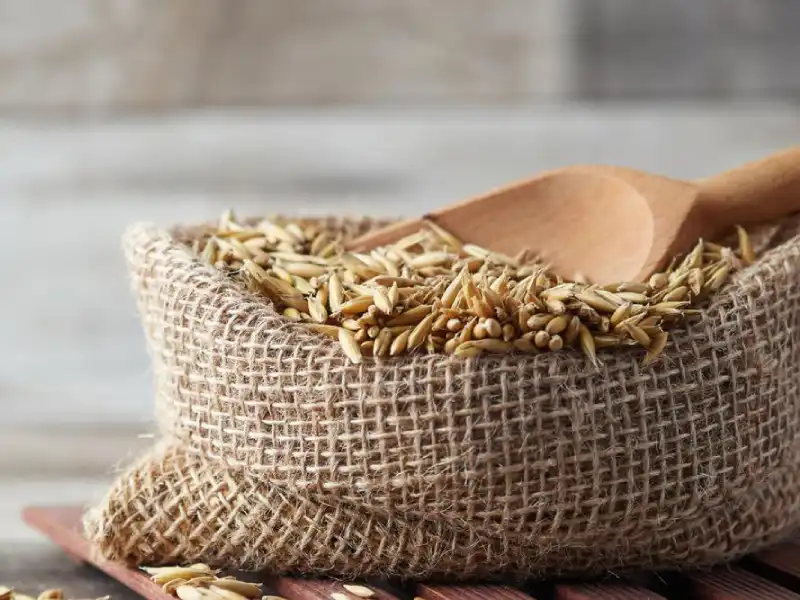 خرید عمده جو دوسر پرک آلمانی با قیمت رقابتی