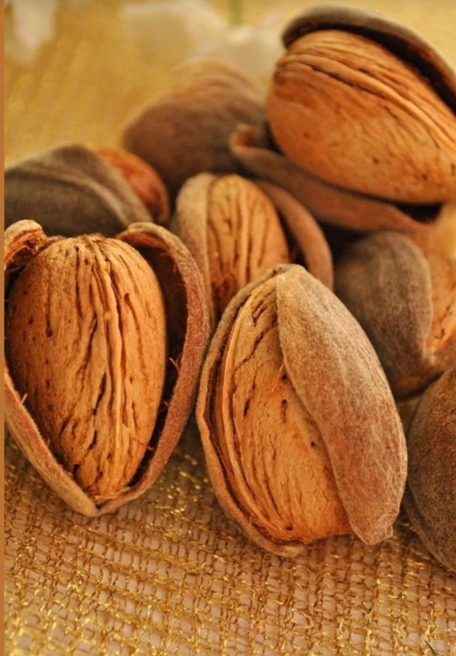 تصویر 2 از مغز بادام درختی