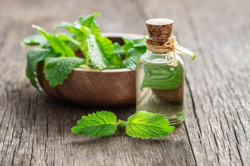 تصویر 1 از عرق بادرنجبویه + قیمت استثنایی