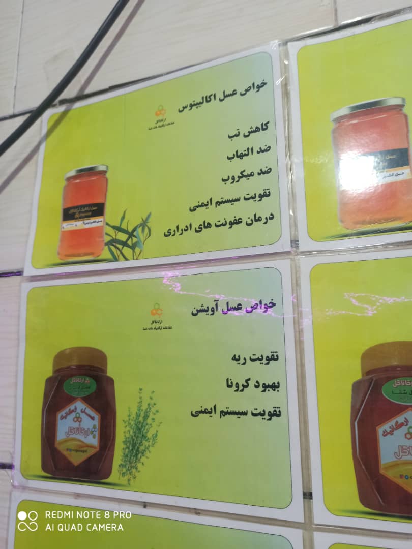 تصویر 2 از عسل ارگانیک قنقال درمانی لرستان + فروش ویژه