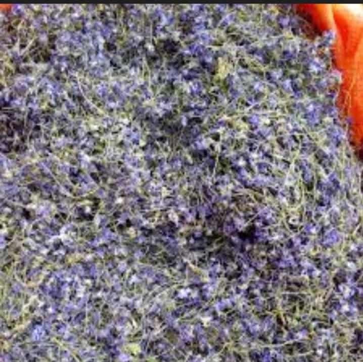 تصویر 1 از گل بنفشه دارویی اعلاء قیمت