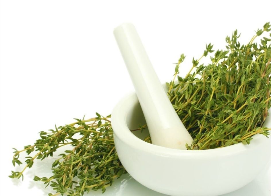 تصویر 5 از فروش آویشن باغی اعلا عمده