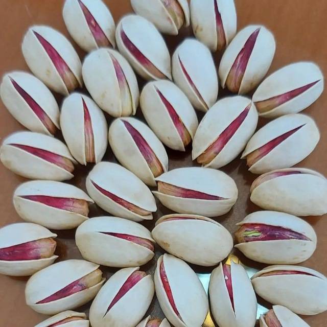 تصویر 2 از فروش پسته احمد آقایی بردسکن + قیمت مناسب