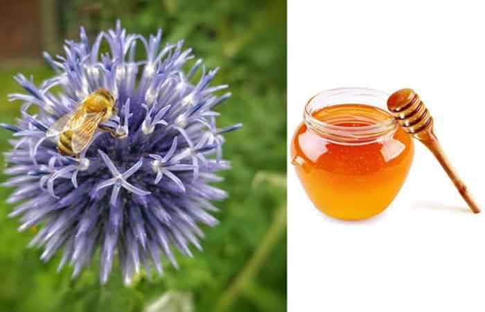 تصویر 1 از قیمت عسل قنقال اعلا + فروش شیشه 900 گرمی