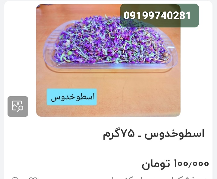 تصویر 1 از اسطوخودوس کلی صادراتی
