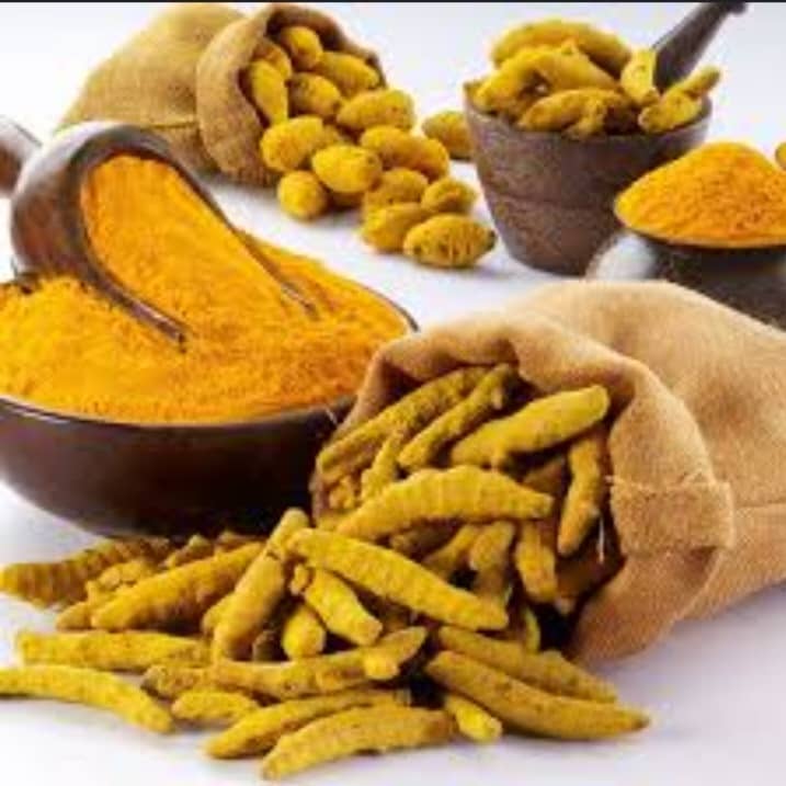 فروش گیاه زردچوبه
