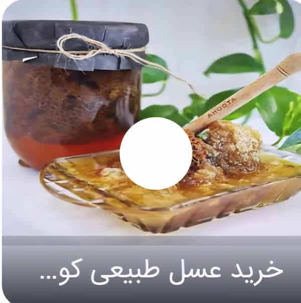 تصویر 5 از خرید عسل موم دار جنگلی + قیمت فروش استثنایی
