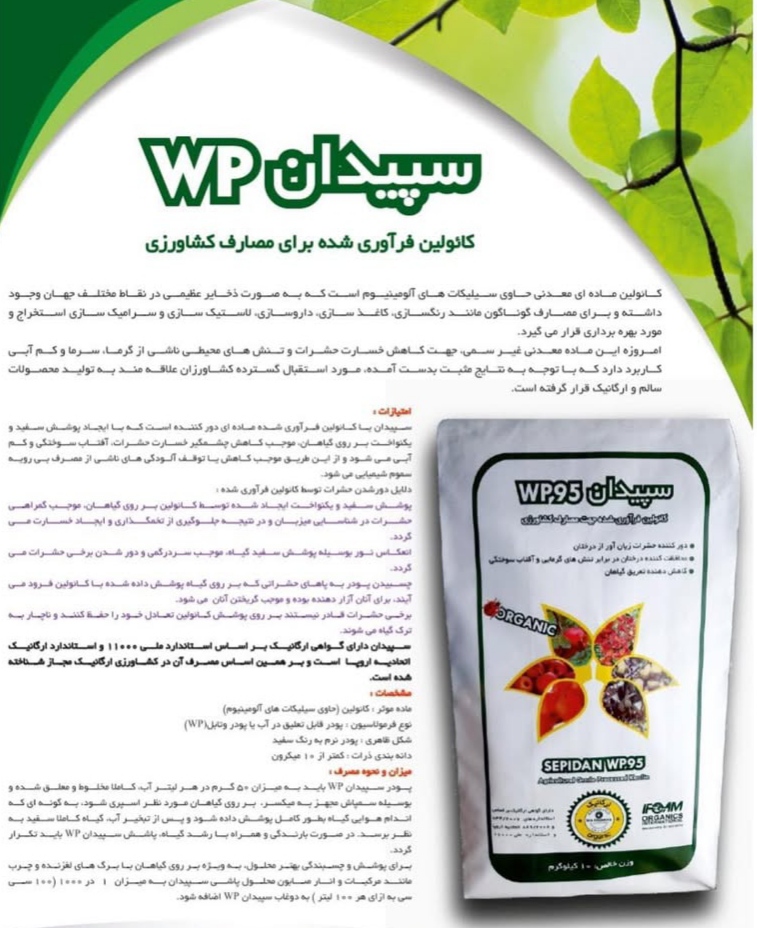 تصویر 1 از کائولین فرآوری شده + خرید