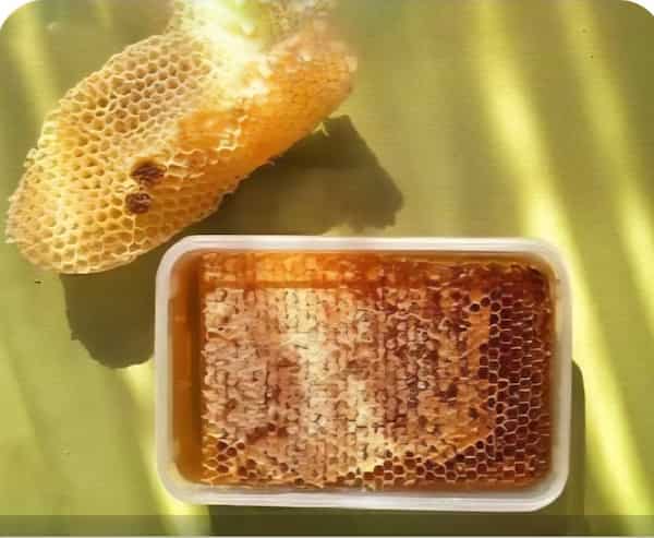 تصویر 1 از خرید عسل کوهی با قیمت عالی