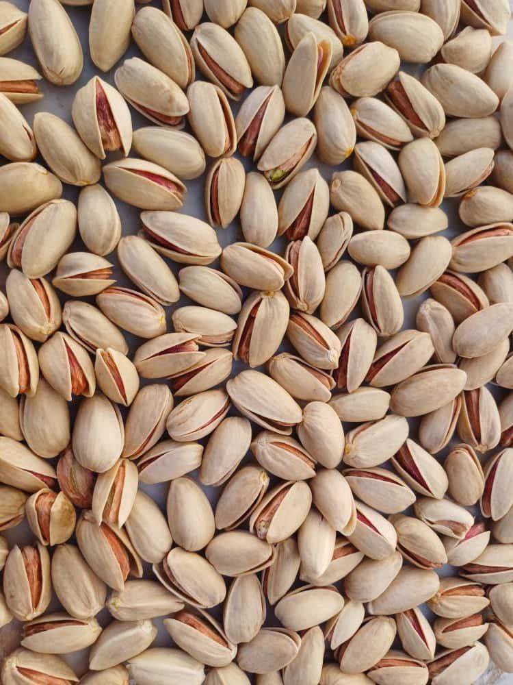 تصویر 2 از فروش پسته اکبری درجه یک + قیمت خرید به صرفه