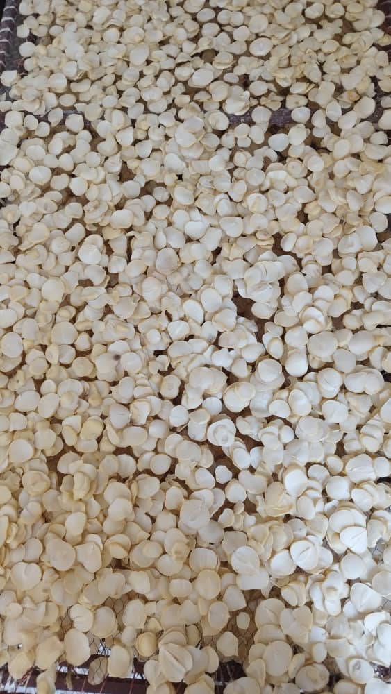 تصویر 2 از قیمت استثنایی اسلایس موسیر اصفهان