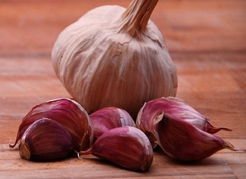 سیر قرمز درجه یک خرید