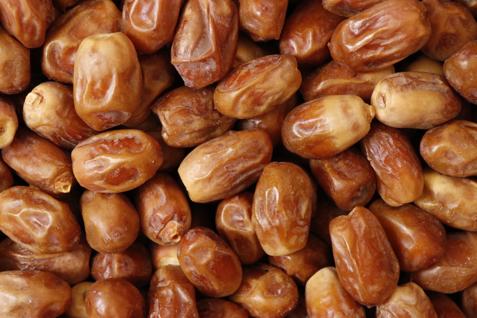 تصویر 2 از خرید ارزان خرمای زاهدی عمده + کیفیت و قیمت عالی