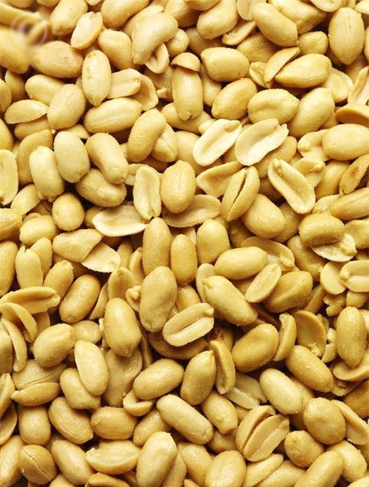 تصویر 1 از خشکبار مرغوب گیلان خرید