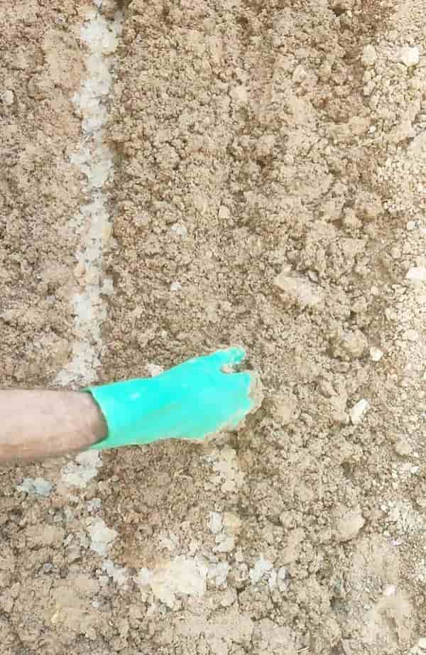 تصویر 2 از هیدروژل کشاورزی با کیفیت برای حفظ رطوبت خاک در تابستان