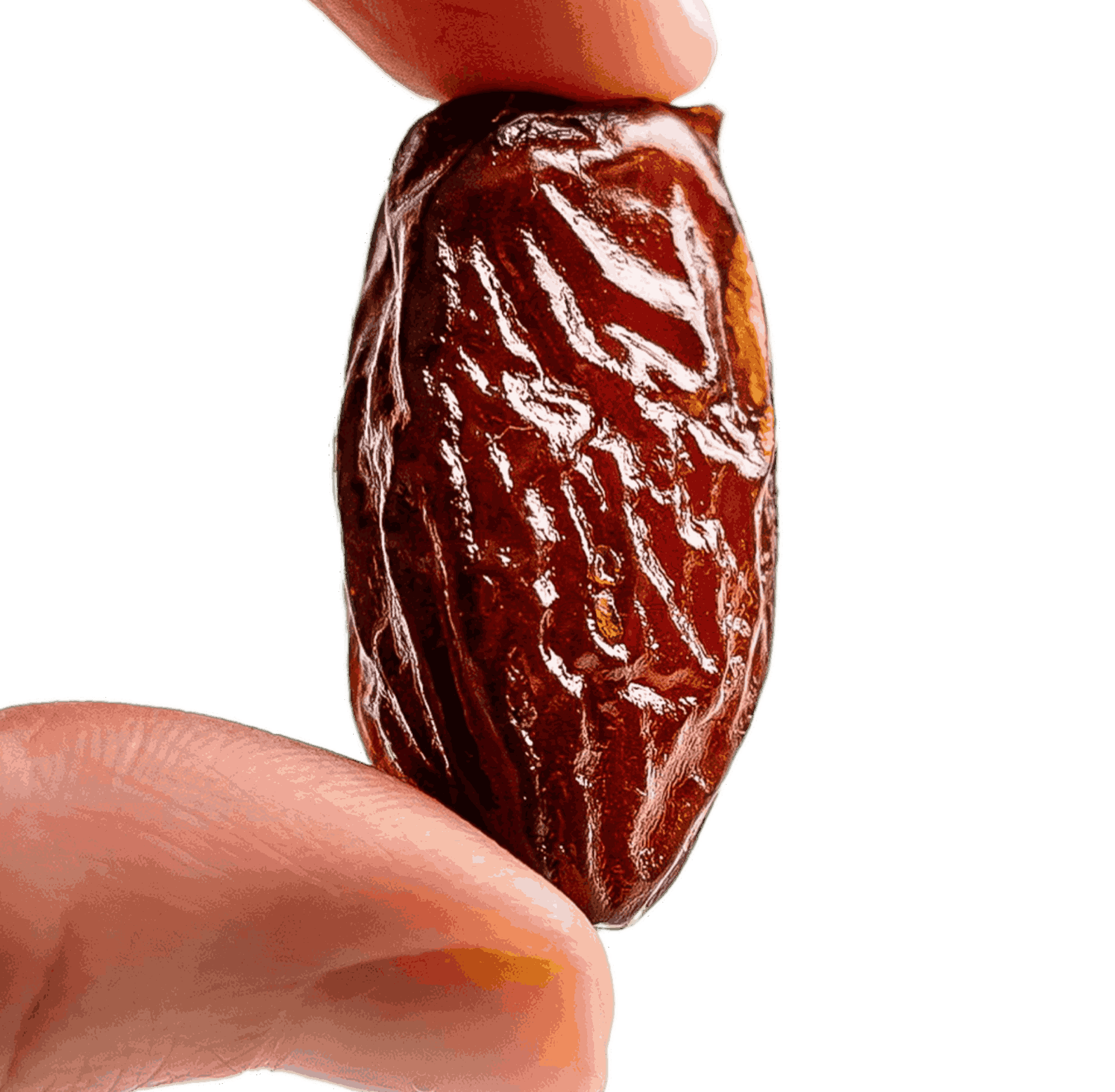 تصویر 4 از فروش عمده خرما مجول صادراتی + قیمت مناسب برای خریداران عمده