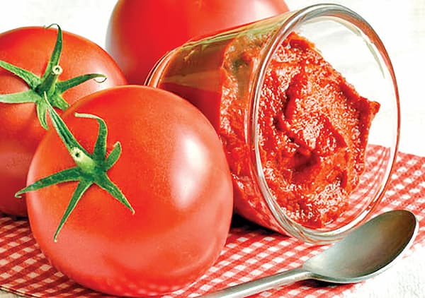 قیمت رب گوجه مرغوب ۴۰۰ گرمی