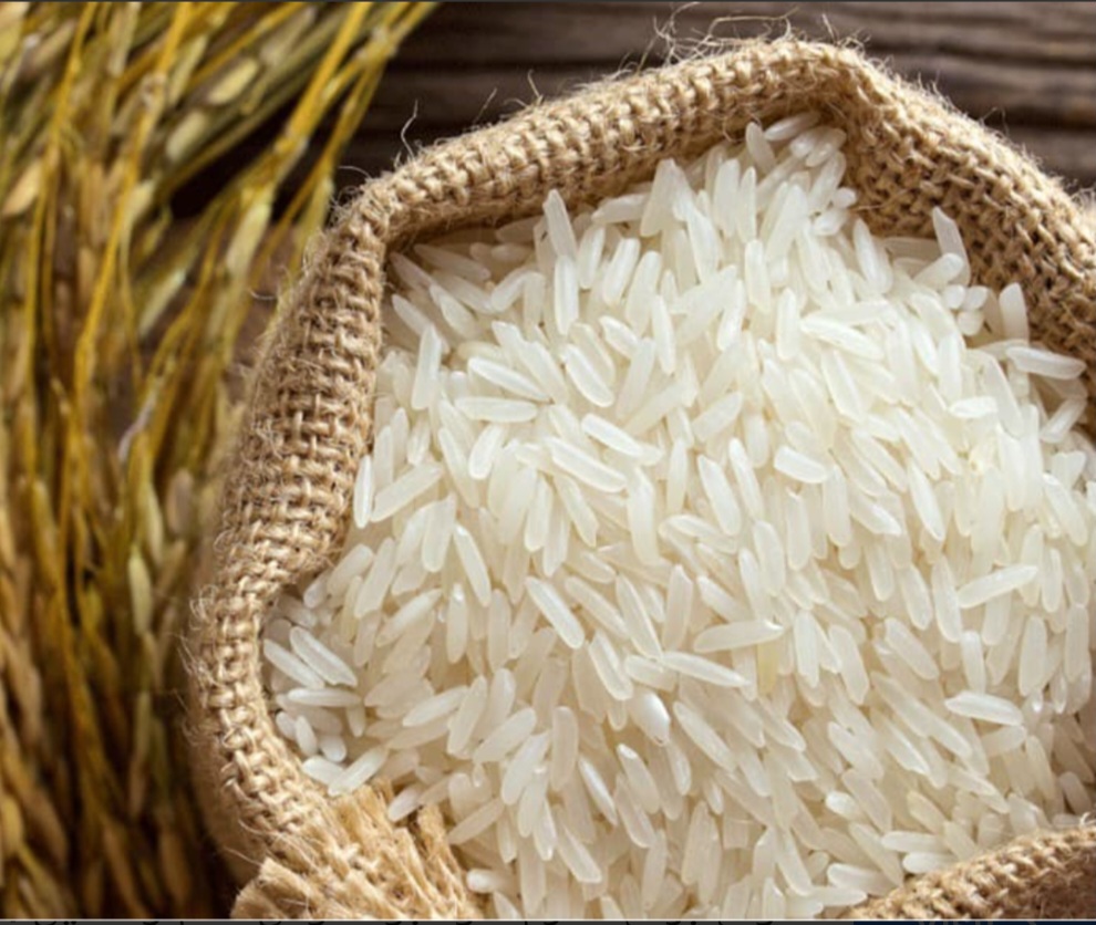 تصویر 1 از قیمت خرید برنج طارم هاشمی درجه یک و مرغوب + فروش صادراتی