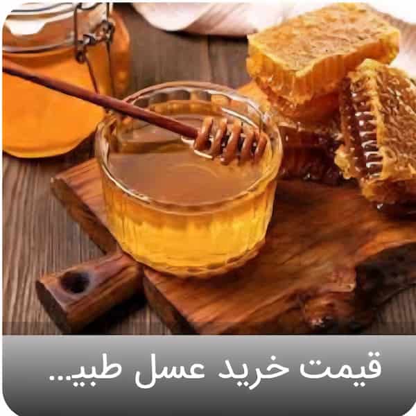 خرید و قیمت باصرفه طبیعی عسل کندو