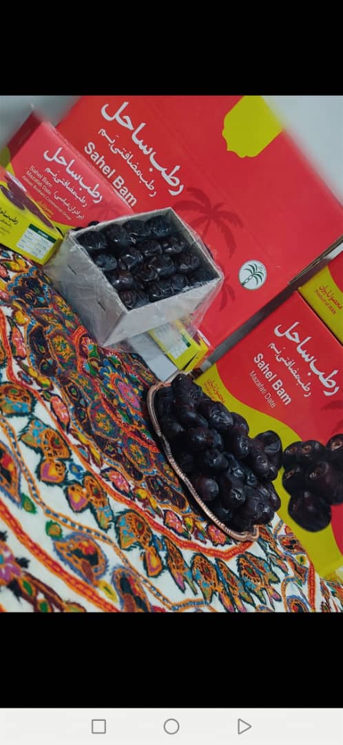 تصویر 1 از خرمای مضافتی قیمت