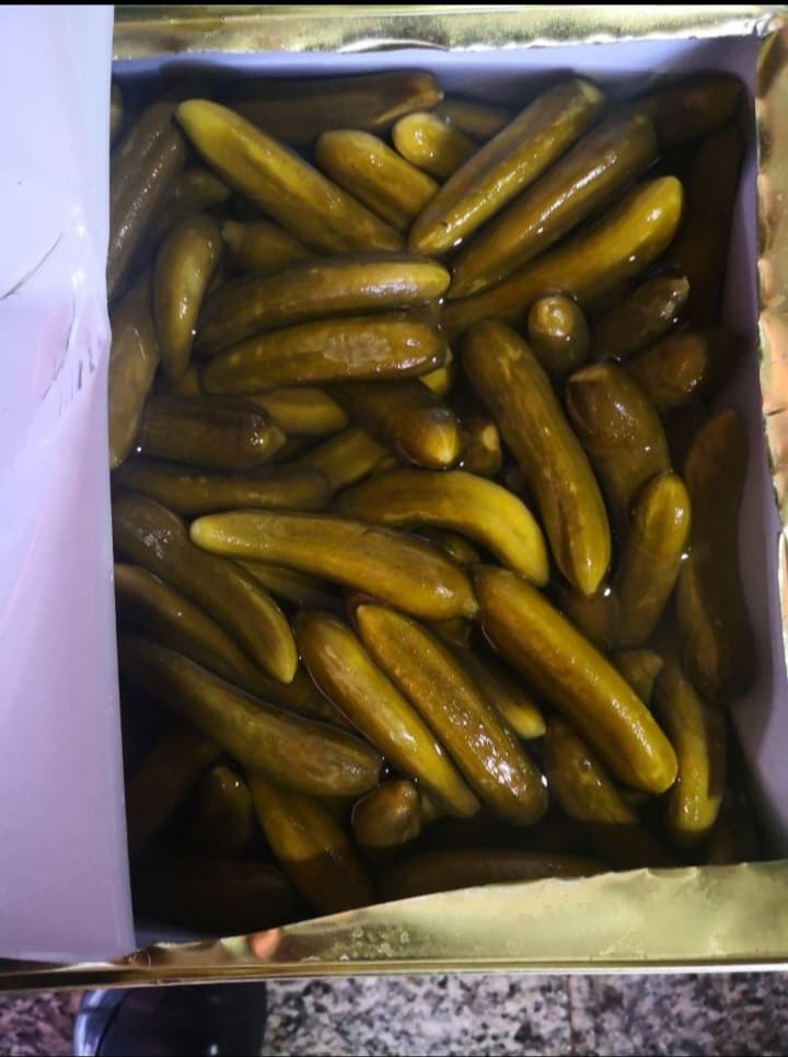 تصویر 1 از خرید خیارشور ۱۷ کیلویی + قیمت فروش استثنایی