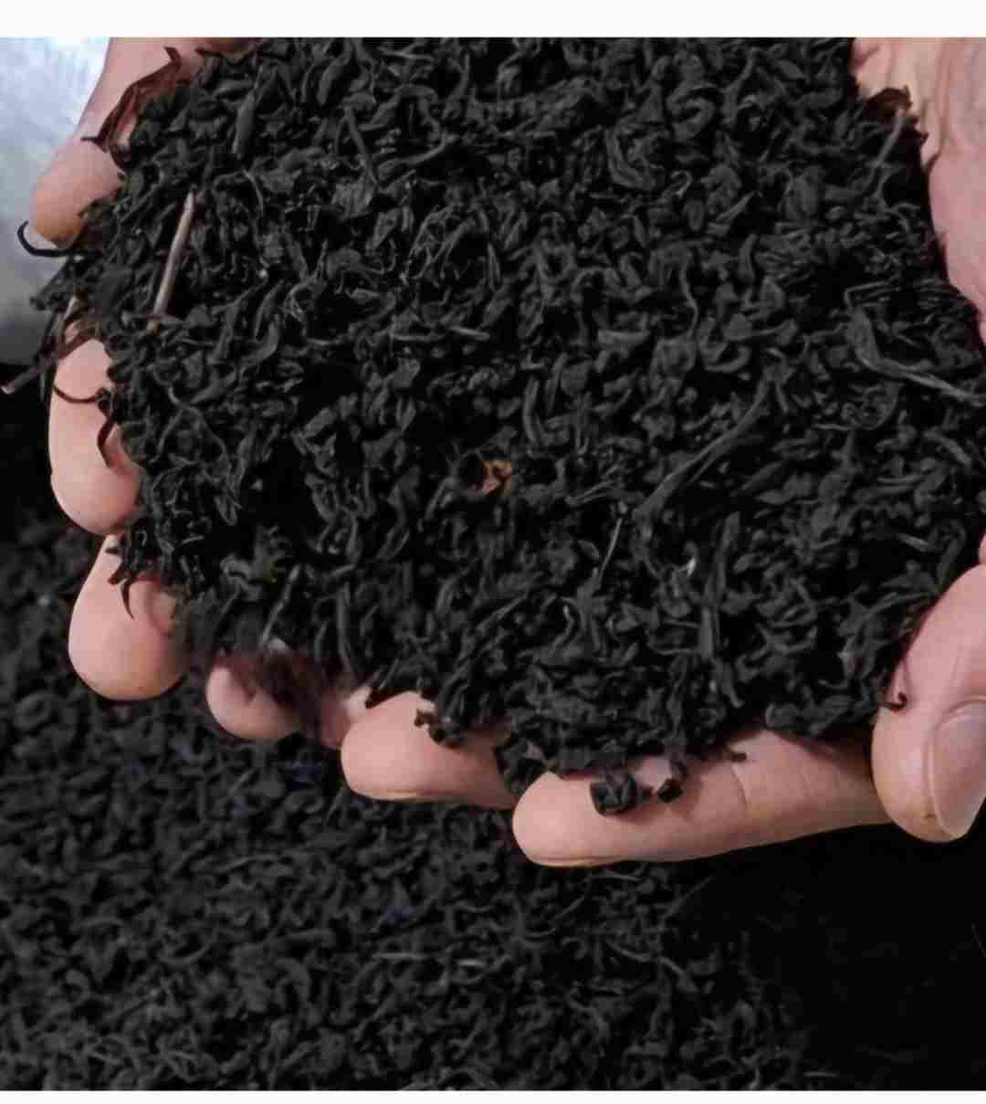خرید و قیمت چای زرین لاهیجان + فروش عمده