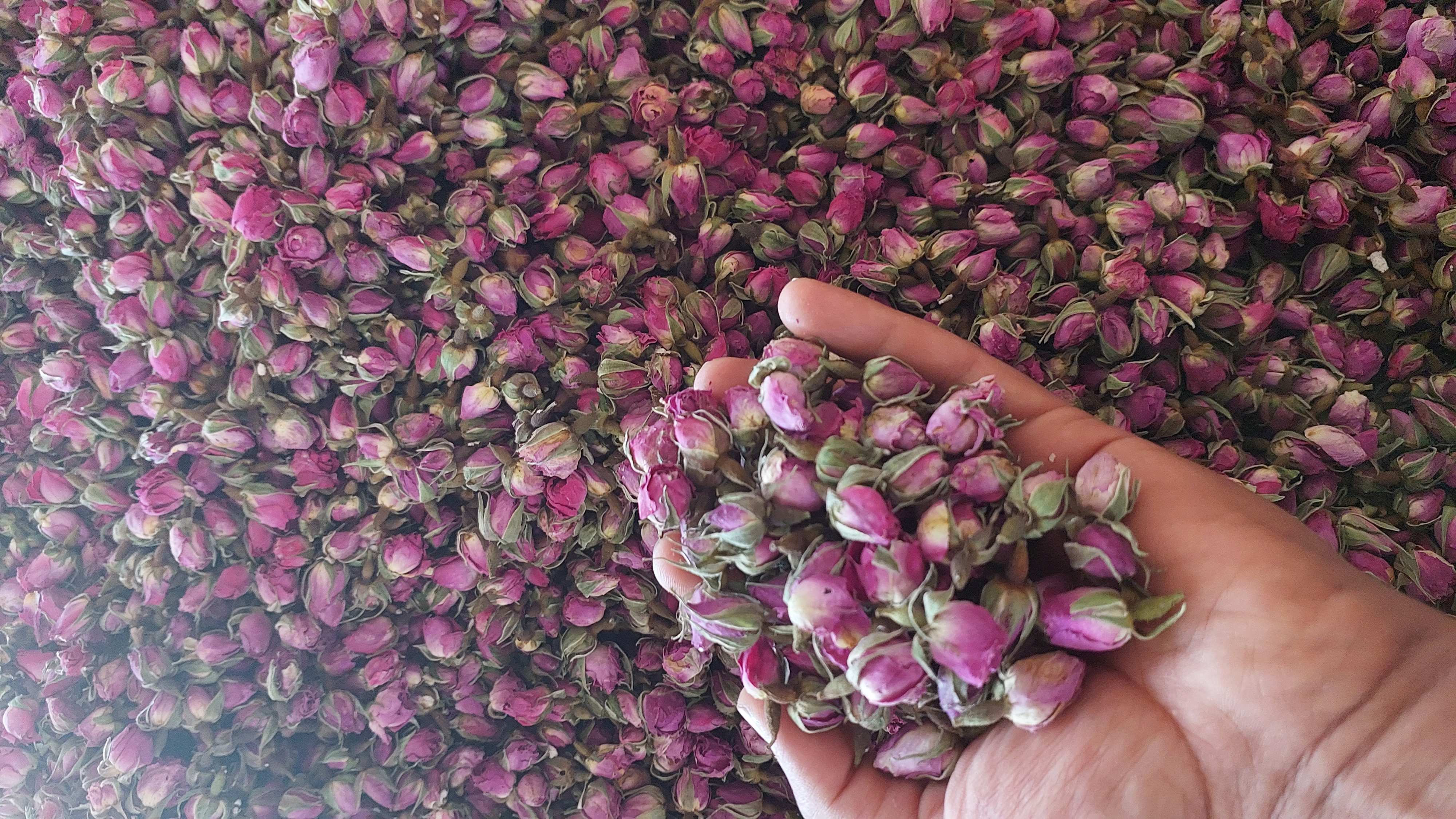 تصویر 1 از خرید و فروش غنچه خشک گل محمدی ارزان